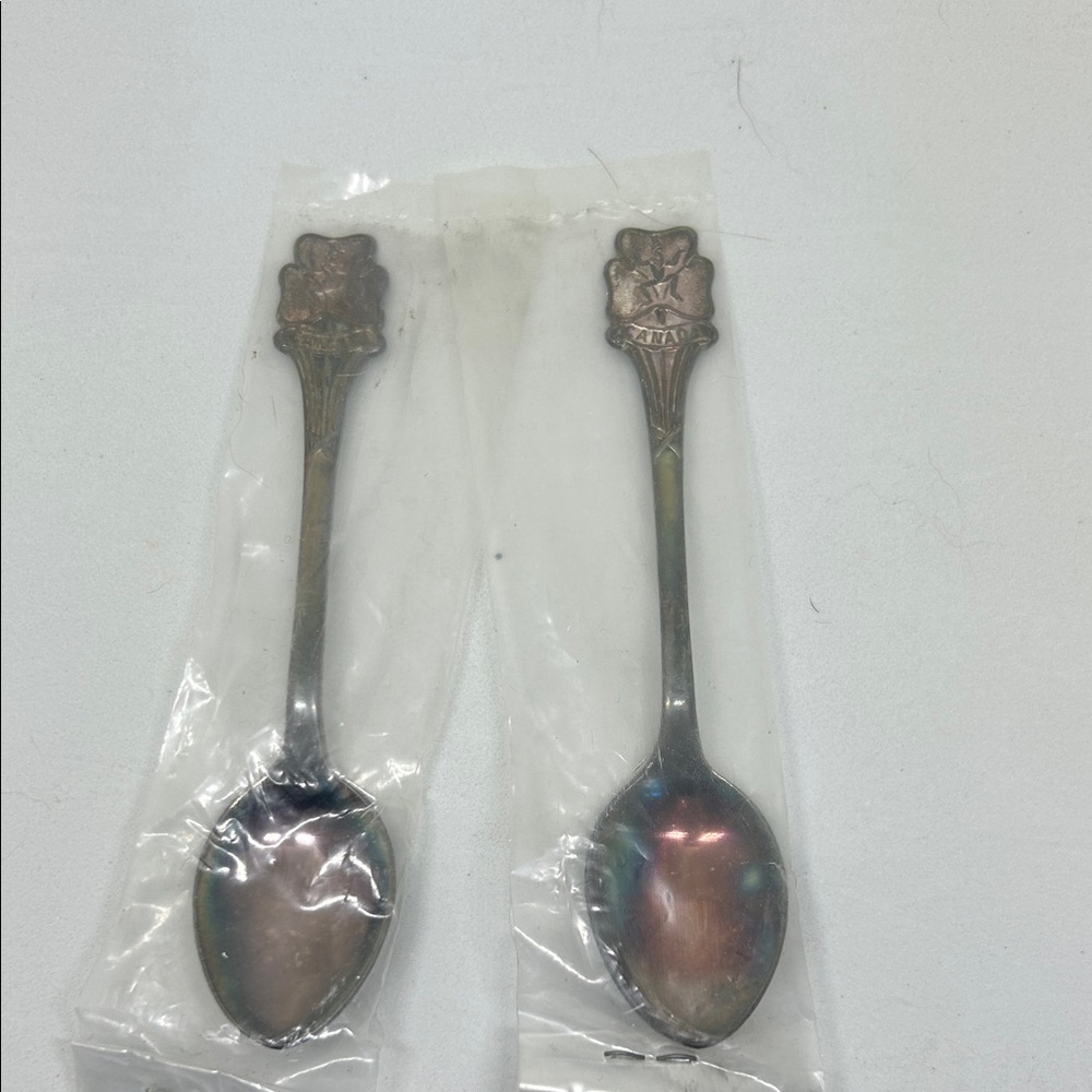 Two Girl Guides Brownie Spoons Collector